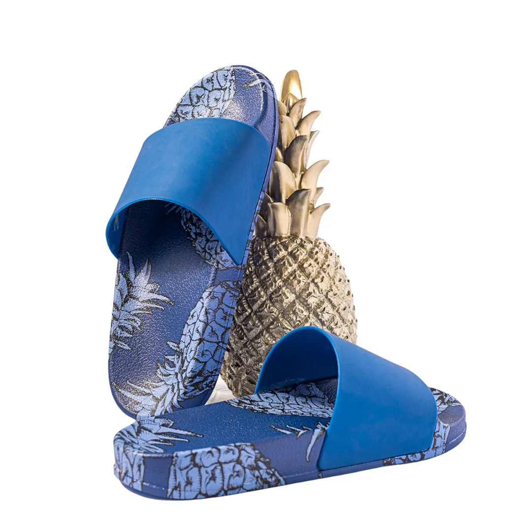 Blue Pineapple Slides